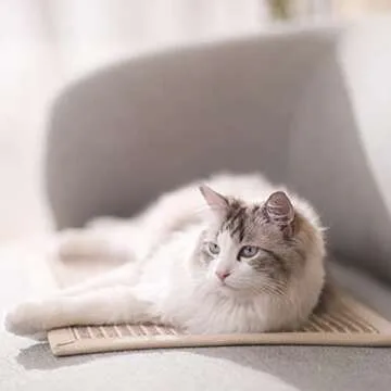 FUKUMARU Cat Scratcher Mat - Natural Sisal for Cats