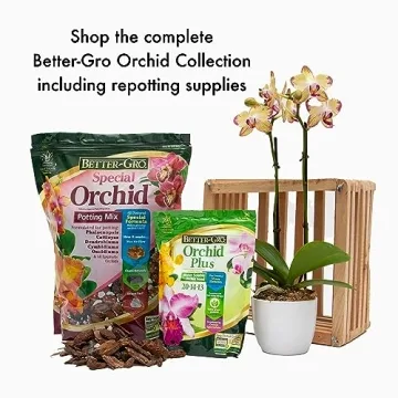 Better-Gro Special Orchid Mix for Thriving Orchids
