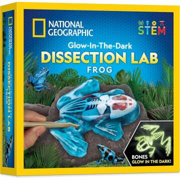 Glow in the Dark Frog Dissection Kit for Kids