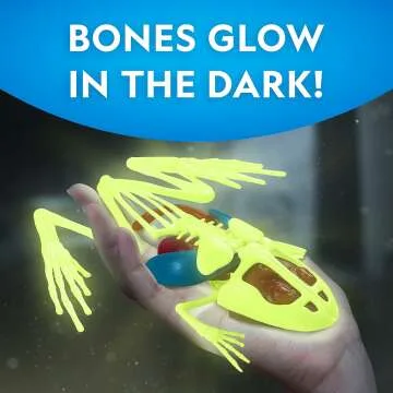 Glow in the Dark Frog Dissection Kit for Kids