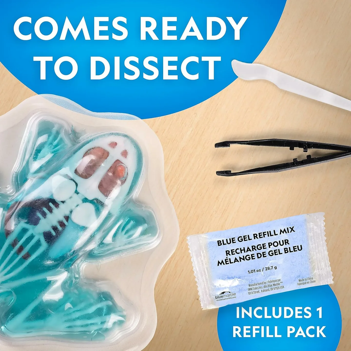 Glow in the Dark Frog Dissection Kit for Kids