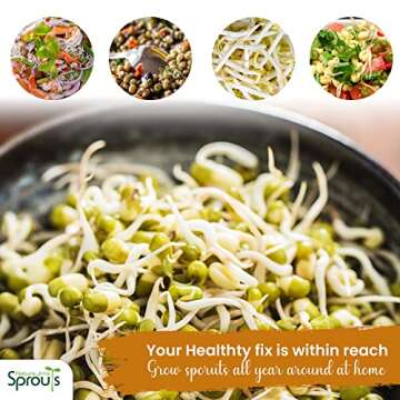 Nature Jims Premium Mung Bean Sprouting Seeds – 16 Oz – NON GMO- Resealable Bag for Longer Freshness – Rich in Vitamins, Minerals, Fiber