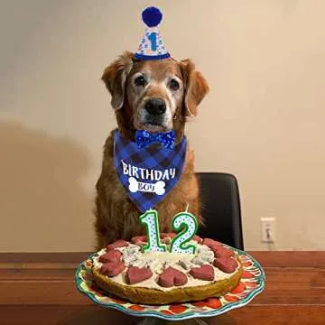 ADOGGYGO Dog Birthday Party Supplies, Pet Birthday Hat with Numbers, Plaid Birthday Boy Bandana and ...