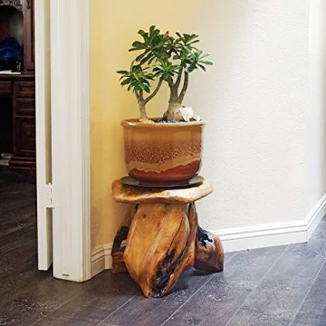 WELLAND Tree Stump Stool - Unique Natural Stool for Home