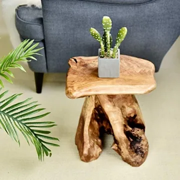 WELLAND Tree Stump Stool - Unique Natural Stool for Home