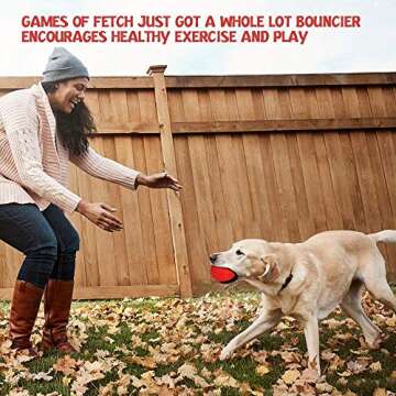 RHL Dog Squeaky Toys for Aggressive chewers Large Breed Balls Interactive Ball Toy Almost Indestruct...