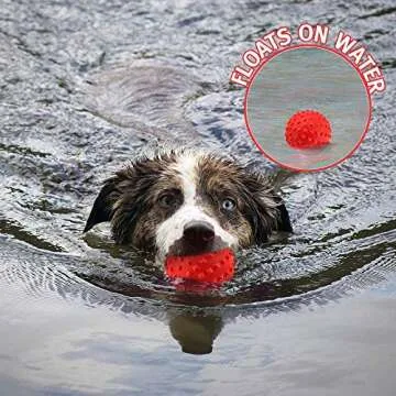 RHL Dog Squeaky Toys for Aggressive chewers Large Breed Balls Interactive Ball Toy Almost Indestructible Tough Durable Stick Medium Small Dogs Puppy Chew with Non-Toxic Natural Rubber
