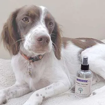 Mind Over Lather 100% Natural Yoga Mat Cleaning Spray 8oz | Works with All Mats | Cleans and Restores Using Essential Oils Naturally | Calming Lavender Mint