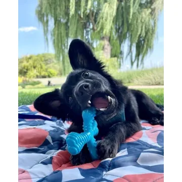 Nylabon Power Chew Comfort Hold X Bone Chew Toy for Dogs, Beef Flavor, Small - Up to 25 lbs. (1 Count)