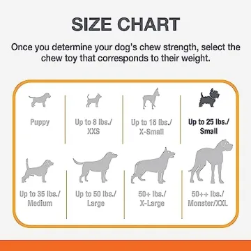 Nylabon Power Chew Comfort Hold X Bone Chew Toy for Dogs, Beef Flavor, Small - Up to 25 lbs. (1 Count)