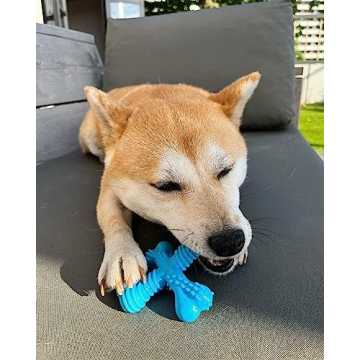Nylabon Power Chew Comfort Hold X Bone Chew Toy for Dogs, Beef Flavor, Small - Up to 25 lbs. (1 Count)