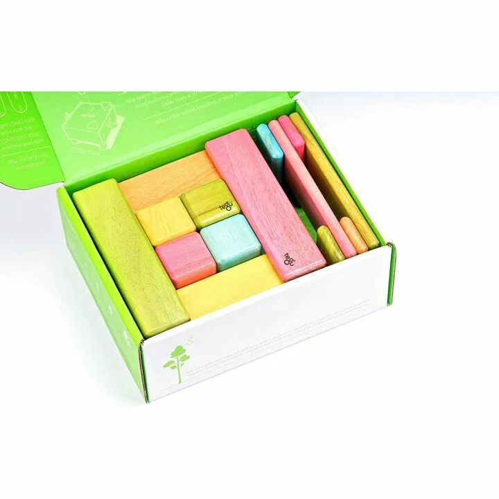 Tegu 26 Piece Magnetic Wooden Block Set - Tints