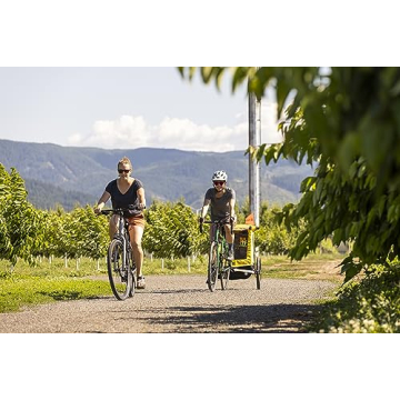 Burley Bee Lightweight Kids Bike Trailer for Safe Adventures