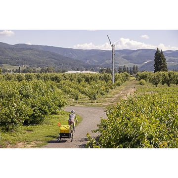 Burley Bee Lightweight Kids Bike Trailer for Safe Adventures