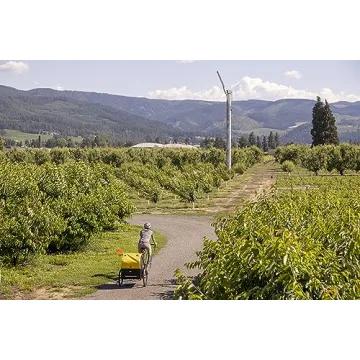 Burley Bee Lightweight Kids Bike Trailer for Safe Adventures