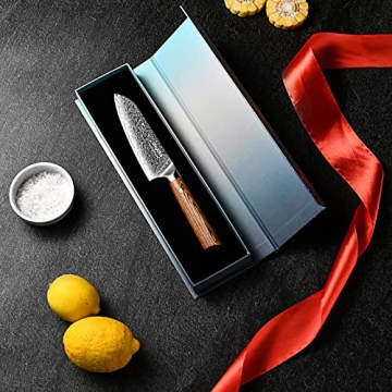 aisyoko Santoku Knife 5 inches-Japan VG-10 Super Steel 67 Layer Damascus Steel-Sharp Kitchen Knife-Luxury Gift Box with Colored Wooden Handle-With Scabbard
