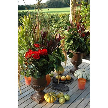 Esschert Design French Urn - Elegant Cast Iron Decorative Planter