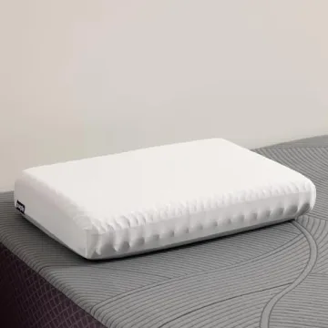 Purple Pillow - The Most Supportive Pillow Science Can Dream Up, Adjustable Boosters for Personalized Height, Made with GelFlex Grid, Ergonomic Support, Standard Size