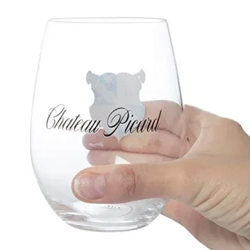 Star Trek Picard Stemless Wine Glasses Set - 17 oz