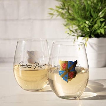 Star Trek Picard Stemless Wine Glasses Set - 17 oz