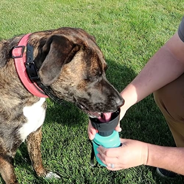 PETDOTT Dog Water Bottle for Secure Hydration Outdoors
