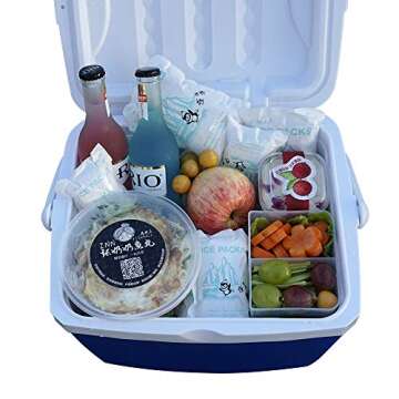 WORLD-BIO Dry Ice for Shipping Frozen Food & Travel, Long Lasting Cold Packs for Cooler 96 Packs 4.7...