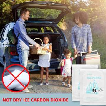 WORLD-BIO Dry Ice Packs for Shipping Food & Travel