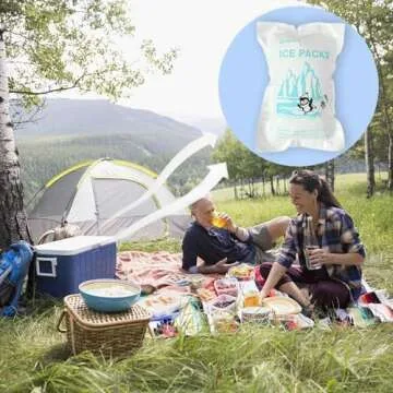 WORLD-BIO Dry Ice Packs for Shipping Food & Travel