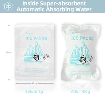 WORLD-BIO Dry Ice Packs for Shipping Food & Travel