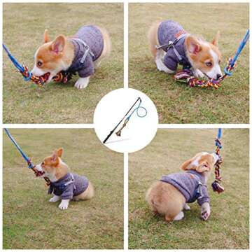 DIBBATU Flirt Pole for Dogs Interactive Dog Toys for Large Medium Small Dogs Chase and Tug of War, Dog Teaser Wand with Lure Chewing Toy for Outdoor Exercise & Training