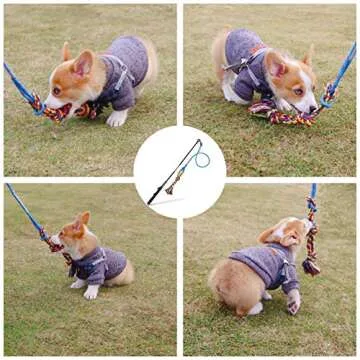 Durable Flirt Pole Dog Toy for Interactive Fun and Training