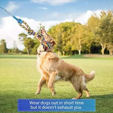 Durable Flirt Pole Dog Toy for Interactive Fun and Training