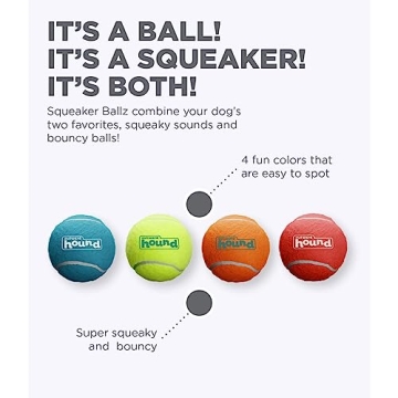 Outward Hound Squeaker Ballz Fetch Toy - 4 Pack - Fun for Dogs