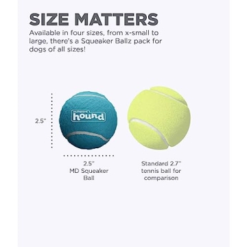 Outward Hound Squeaker Ballz Fetch Toy - 4 Pack - Fun for Dogs