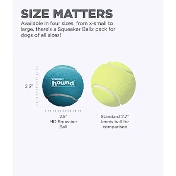 Outward Hound Squeaker Ballz Fetch Toy - 4 Pack - Fun for Dogs