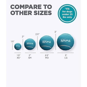 Outward Hound Squeaker Ballz Fetch Toy - 4 Pack - Fun for Dogs