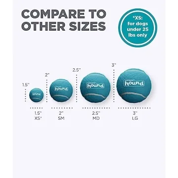 Outward Hound Squeaker Ballz Fetch Toy - 4 Pack - Fun for Dogs