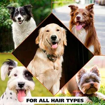 Wahl USA Cornflower Aloe Pet Deodorant Spray for All Dogs & Cats – Clean Fresh Smell Refreshes & Deodorizes – 8 oz - Model 820009A