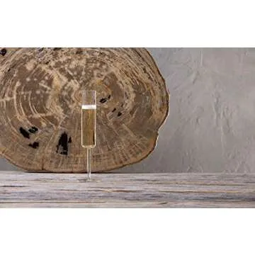 SCHOTT ZWIESEL Modo Champagne Glass (Set of 4), Champagne Glasses with Effervescent Point, Dishwasher-Safe Tritan Crystal Glasses, Made in Germany (5.5 Ounce)