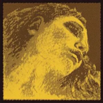 Pirastro Evah Pirazzi Gold Violin String Set - Premium Quality for All Musicians