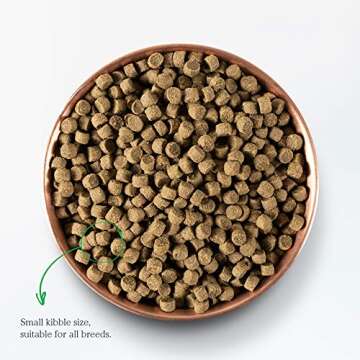 Open Farm Senior Grain-Free Dog Food - Holistic & Healthy