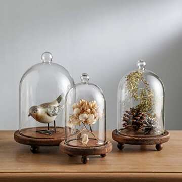 KMwares 3pcs Glass Bell Shape Dome(5.7"/4.9"/4.3") | Cloche Display various decor and accessories with Wood Base
