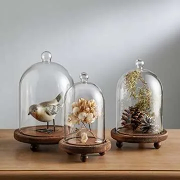 KMwares 3pcs Glass Bell Shape Dome(5.7"/4.9"/4.3") | Cloche Display various decor and accessories with Wood Base