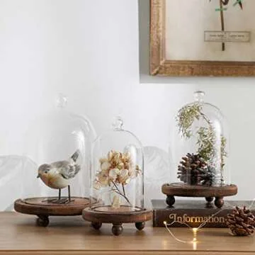 KMwares 3pcs Glass Bell Shape Dome(5.7"/4.9"/4.3") | Cloche Display various decor and accessories with Wood Base