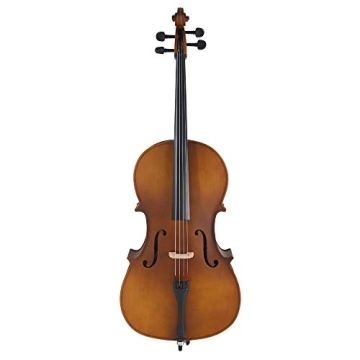 Vasitelan 4/4 Acoustic Cello Set with Case, Bow & Rosin - Perfect for Adults