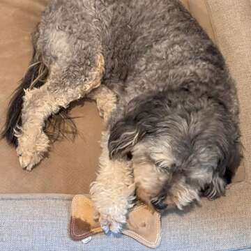 Durable Squeaky Dog Toy - SPOT Leather Bone, 7in