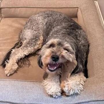 Durable Squeaky Dog Toy - SPOT Leather Bone, 7in