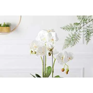 Fudostar Artificial Silk Moth Orchid Flowers Potting in Matte Gold Ceramic Vase, 22'' High, Real Touch Natural Looking Phalaenopsis Flowers and Greens, Centerpiece Decor (Arc-Shaped White)