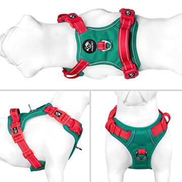 PHOEPET No Pull Dog Harness, Unique Colors Reflective Adjustable Dog Vest, with Soft Training Handle...