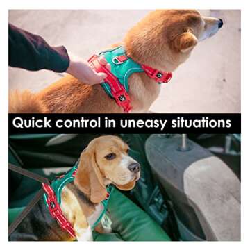 PHOEPET No Pull Dog Harness, Unique Colors Reflective Adjustable Dog Vest, with Soft Training Handle Metal Clips for Small Medium Large Dogs (Dark Green Base & Red Straps,M)